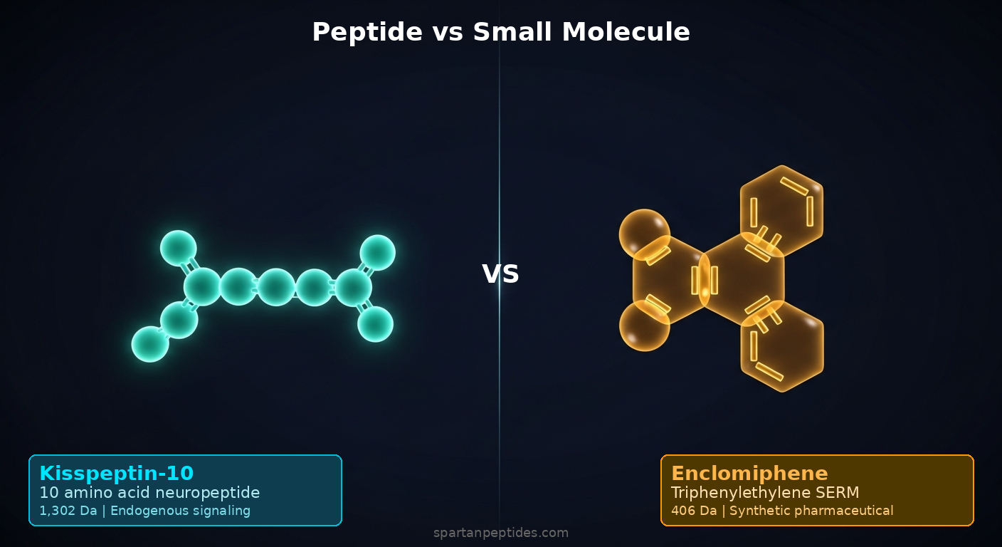 Kisspeptin 10 amino acid peptide 1302 Da vs enclomiphene small molecule SERM 406 Da molecular comparison